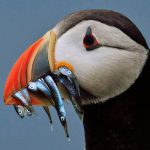 IHIE44的头像-一帧山海