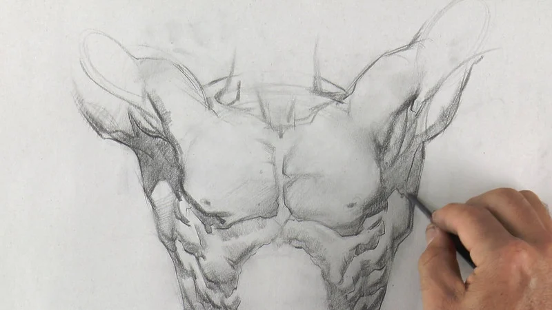 布里奇曼人体结构与造型训练 · 课程展示